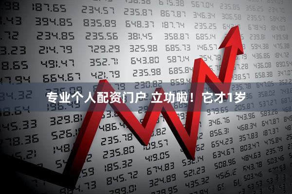 专业个人配资门户 立功啦！它才1岁