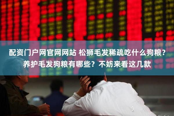 配资门户网官网网站 松狮毛发稀疏吃什么狗粮？养护毛发狗粮有哪些？不妨来看这几款