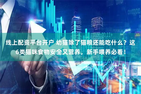 线上配资平台开户 幼猫除了猫粮还能吃什么？这6类猫咪食物安全又营养，新手喂养必看！